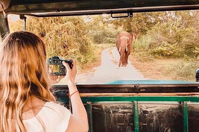 08 - Day Classic Tour with English speaking drive and Private luxury vehicles - What $456 buys you over eight days
