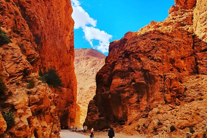 10 Days From Casablanca Luxury Tour - Merzouga and the Erg Chebbi desert night