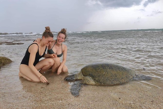 10 Days Tour in Sri Lanka (Hotels with Breakfast & Luxury Car) - Galle and the southern coast