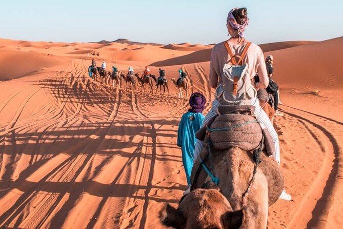 10Day Luxury From Casablanca to marrakech by Fes and Merzouga - The High Atlas leads into Marrakech