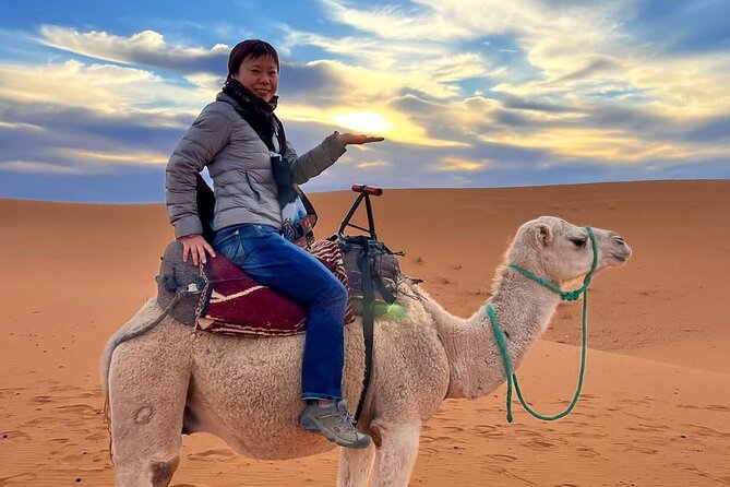 10Day Luxury From Casablanca to marrakech by Fes and Merzouga - Volubilis adds Roman ruins before Fez