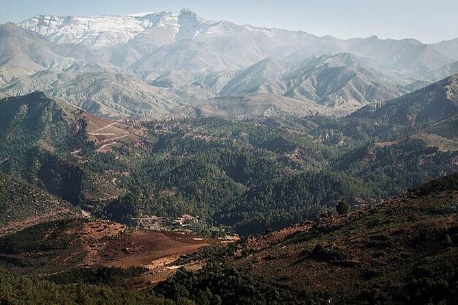 12 Days Private Luxury Sightseeing Tour in Morocco - Gorges, roses, palms, and the road of kasbahs