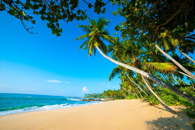 14 Days Tour in Sri Lanka - Fortnight Expedition with Luxury Hotels - What the $1,599 price really covers