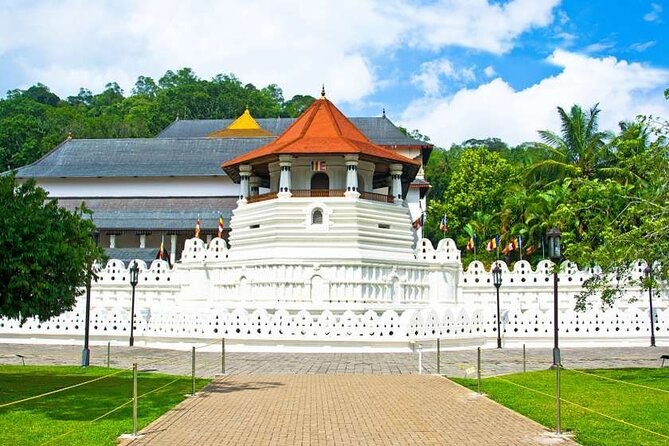 14 Days Tour in Sri Lanka - Fortnight Expedition with Luxury Hotels - Nuwara Eliya brings tea, waterfalls, and cooler air