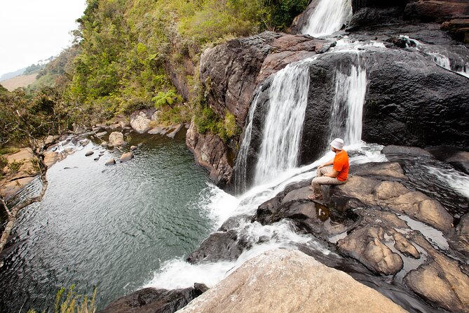14 Days Tour in Sri Lanka - Fortnight Expedition with Luxury Hotels - Negombo starts with fish, temples, and an easy airport transfer