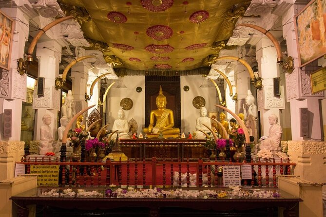 14 Days Tour in Sri Lanka (Hotels with Breakfast & Luxury Car) - Key points to know before booking