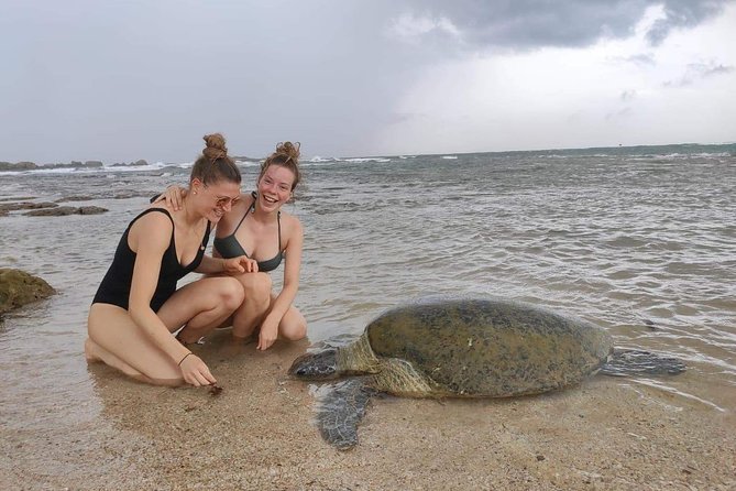 14 Days Tour in Sri Lanka (Hotels with Breakfast & Luxury Car) - Days 5 and 6: Yala wildlife and Arugam Bay surf
