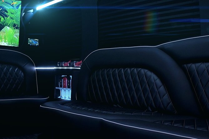 14 Passenger Luxury Sprinter Party Bus Ft Lauderdale 3 hour - Service, participation, and accessibility details