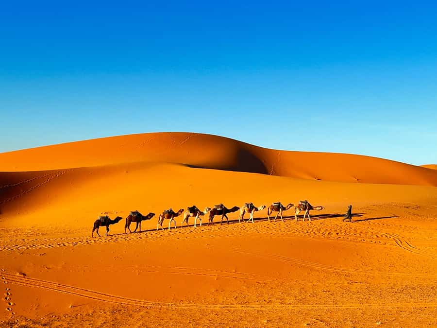 2-Day Desert tour from Fes to Fes/Marrakech wit Luxury Camp - A luxury tent, Moroccan dinner, and camp music
