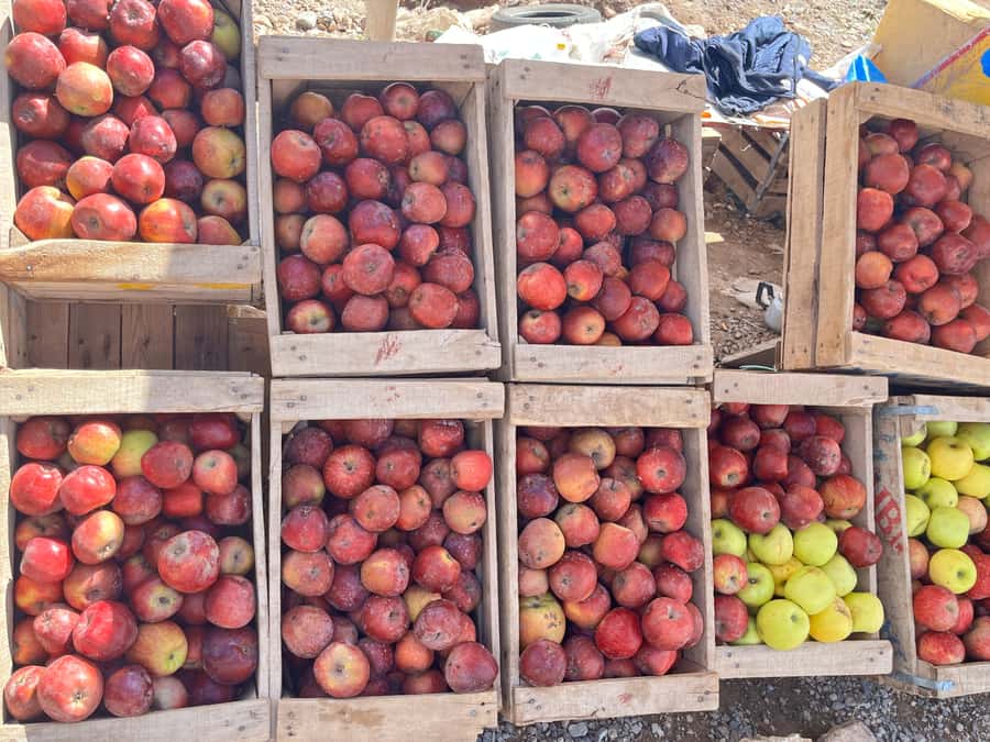 2-Day Desert tour from Fes to Fes/Marrakech wit Luxury Camp - Returning to Fes or continuing to Marrakech