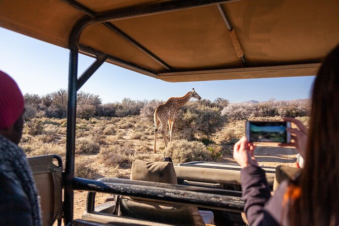 2 Day Inverdoorn Luxury Safari - From Cape Town to the Ceres fruit country