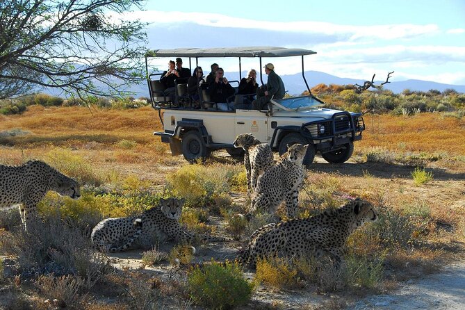 2 Day Inverdoorn Luxury Safari - Lunch beneath the trees at Inverdoorn
