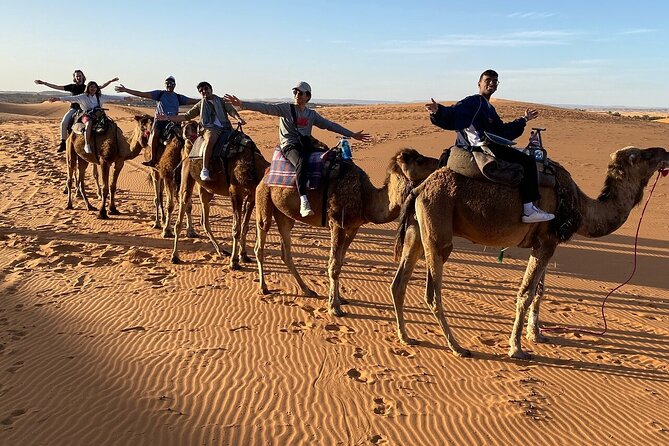 2 Day Luxury Desert Tour from Fes to Fes or Marrakech - Barbary macaques and the cedar forests near Azrou