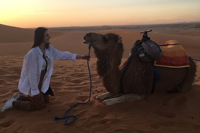 2 Day Luxury Desert Tour from Fes to Fes or Marrakech - Comfort, communication, and summer heat