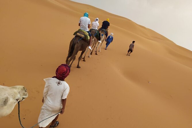 2-Days Desert Tours from Fes with Overnight in Luxury Camp - Azrou’s cedar forest and the monkeys