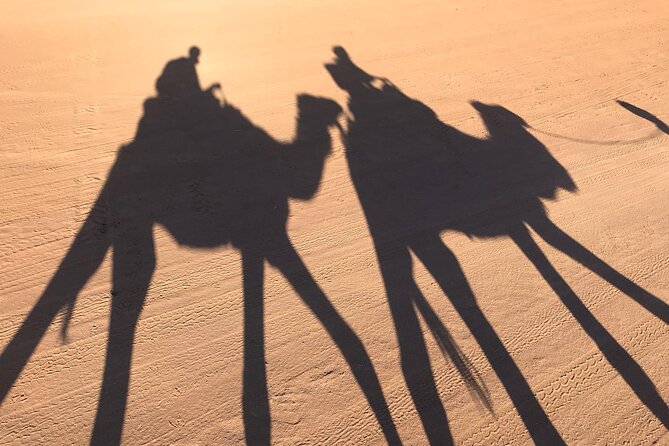 2-Days Desert Tours from Fes with Overnight in Luxury Camp - Errachidia and the first palm-filled views