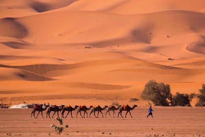 2 Days luxury desert tour from Fes - Why this Fez to Sahara route works