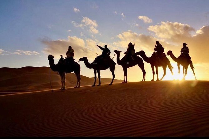 2 Days luxury desert tour from Fes - Ifrane, Morocco’s cool mountain stop
