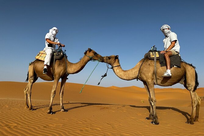 2 Days Luxury Magic Morocco Desert Tour From Fes To Fes - The real shape of this Fes to Fes desert trip