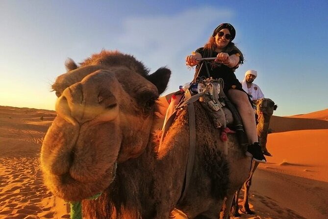 2 Days Luxury Tour to Merzouga Desert from Fez with Small Group - The real shape of this Fez to Sahara trip