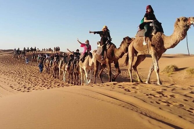 2 Days Luxury Tour to Merzouga Desert from Fez with Small Group - Ziz Valley and Erfoud before the dunes