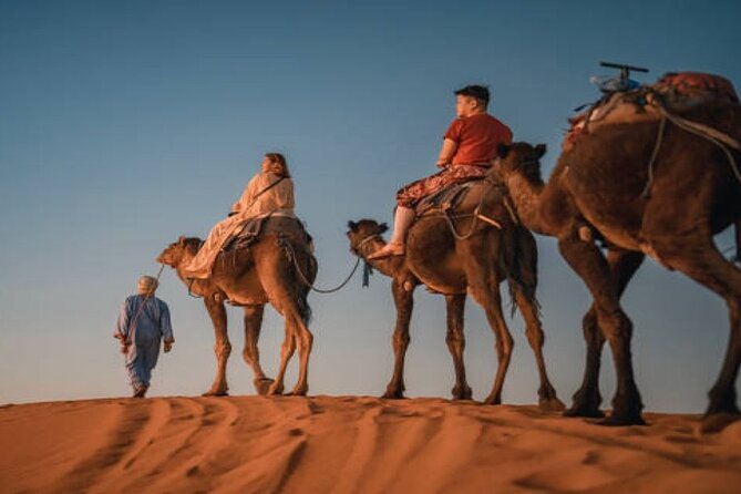 2 Nights in Luxury Camp and Camel Trekking in Merzouga Desert - What the $168.66 price covers