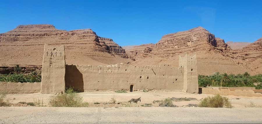 2Days Luxury Desert Tour From Errachidia To Fes Via Merzouga - Comfort, food, and the group setup