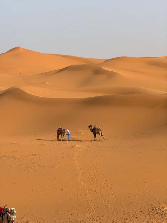 3-Day luxury Adventure: Marrakech to Merzouga incl.Quad/show - What You Are Really Buying for $214