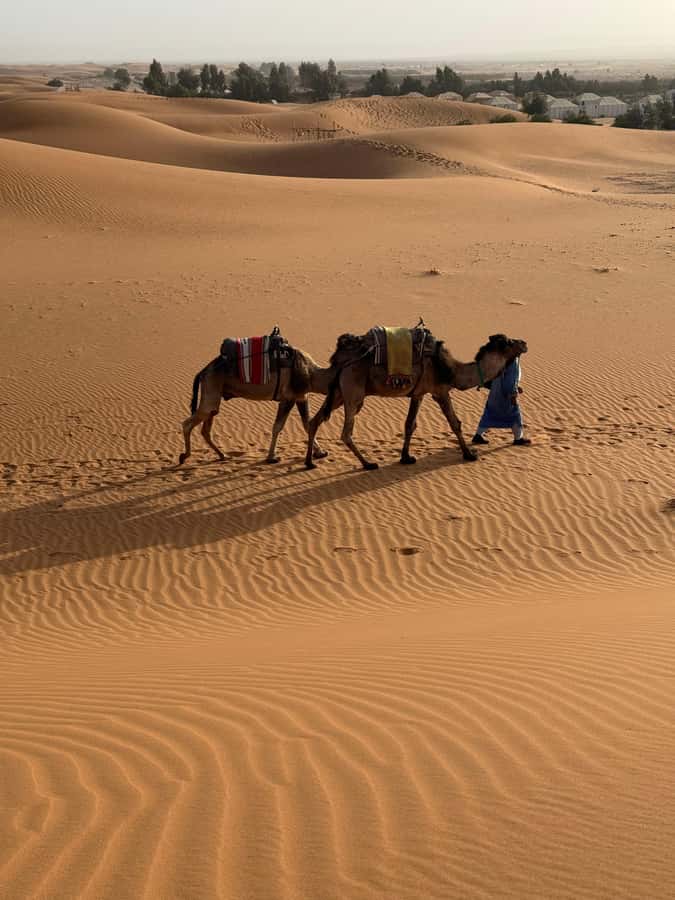 3-Day luxury Adventure: Marrakech to Merzouga incl.Quad/show - One Night at the Berber-Style Camp