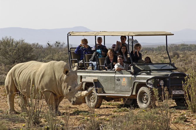 3 Day Luxury Aquila Private Game Reserve - The Big Five, and what kind of safari to expect