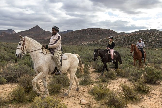 3 Day Luxury Aquila Private Game Reserve - Day two: an early drive and time to use the spa