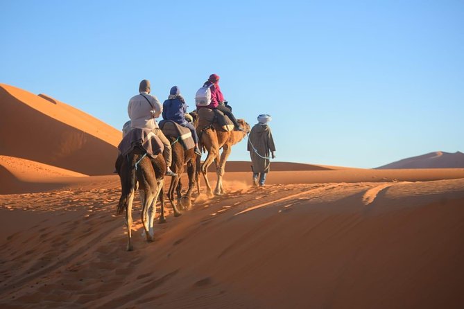 3-Day Luxury/Budget Desert Tour to Marrakech via Merouga from Fez - The desert camp: memorable, but ask questions first