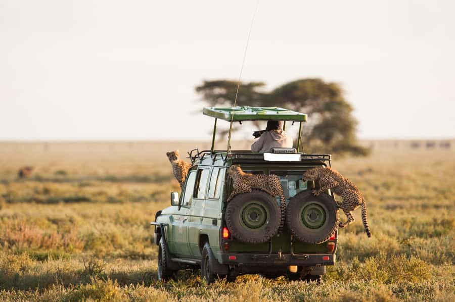 3-Day Maasai Mara Joining Safari at Enkorok Luxury Camp - What this three-day Maasai Mara trip is really like