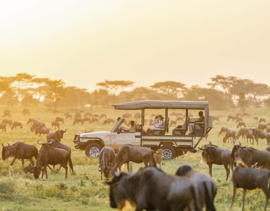3-Day Maasai Mara Joining Safari at Enkorok Luxury Camp - Enkorok and Sopa: comfort, charm, and a detail to confirm