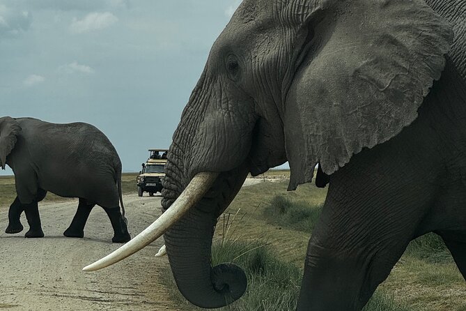 3 Day Private Tour in Maasai Mara with Lodge Luxury with Jeep - Key Points Before You Book