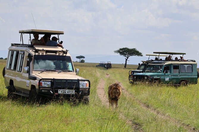3 Day Private Tour in Maasai Mara with Lodge Luxury with Jeep - The 6:00 a.m. Start and Full-Day Mara Drive