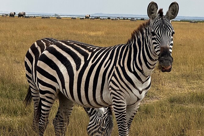 3 Day Private Tour in Maasai Mara with Lodge Luxury with Jeep - The Maasai Village Visit on Day Three