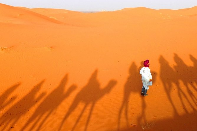 3-Day Tour from Marrakech to Merzouga Luxury Camp with Camel - Ouarzazate, the Valley of Roses, and Dades