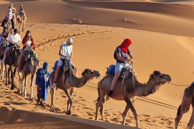 3 days from Marrakech to Merzouga Desert with Luxury Camp - The argan oil cooperative stop