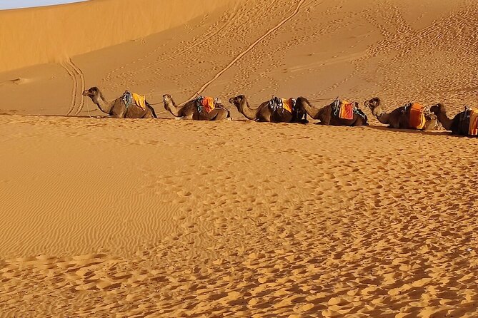 3 Days Luxury Desert Tour From Fes To Marrakech via Merzouga - Sunset by camel in the Merzouga dunes