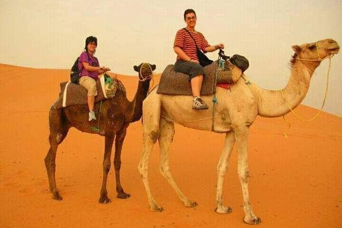 3 Days Luxury Desert Tour From Fes To Marrakech via Merzouga - Todra Gorges and the Dades Valley