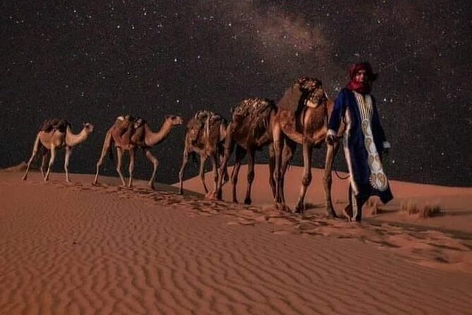 3 Days Luxury Desert Tour From Fes To Marrakech via Merzouga - Rose Valley, Skoura, and Ouarzazate