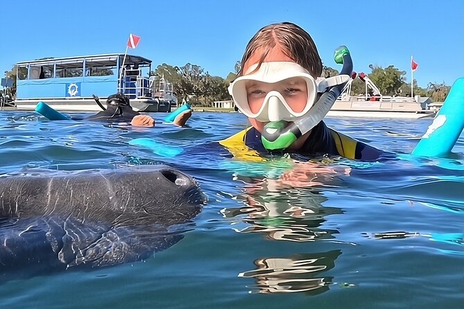 3 Hour Small Group Manatee Swim Heated Boats Free Photos All Inc - Key points before you book