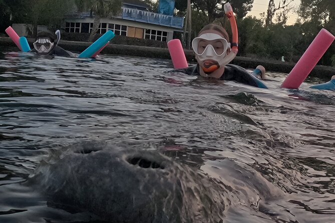 3 Hour Small Group Manatee Swim Heated Boats Free Photos All Inc - Getting ready with the supplied gear