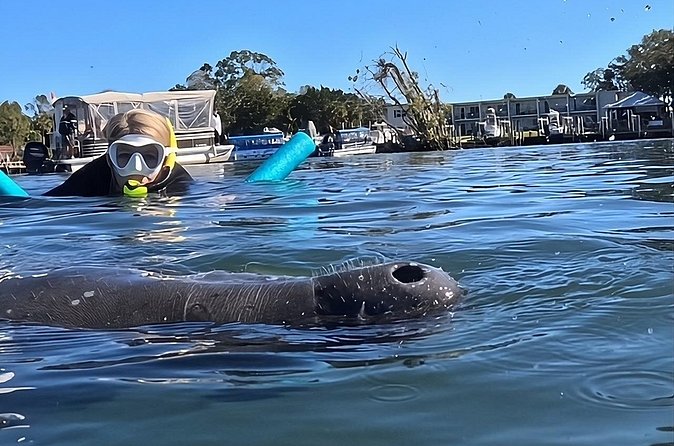 3 Hour Small Group Manatee Swim Heated Boats Free Photos All Inc - Captain Alan and guide Crystal