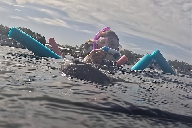 3 Hour Small Group Manatee Swim Heated Boats Free Photos All Inc - The boat ride along Crystal River Archaeological State Park