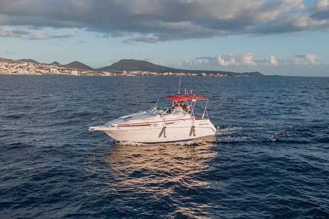 3 Hour VIP Private Luxury Boat Charter in Tenerife - Small details that can improve your day