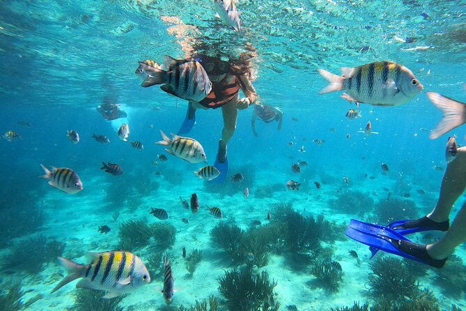 3 Hours VIP Semiprivate Tour Isla Mujeres Full Snorkeling Experience - Key points at a glance