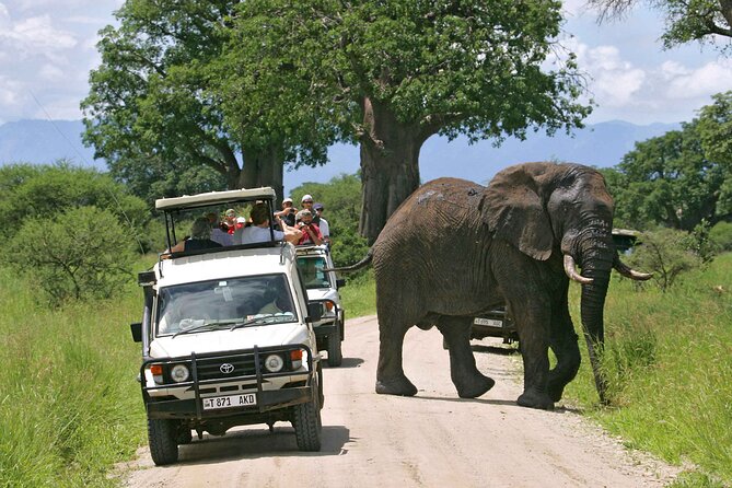 3Days luxury safari to Tarangire Ngorongoro crater and Manyara - Day 1: Tarangire and the country of elephants