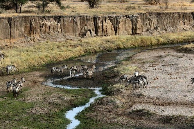 4 Day Tanzania Luxury Safari - Day 3: Olduvai Gorge and the crater rim